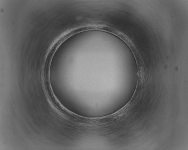 X0000081620726200701151054