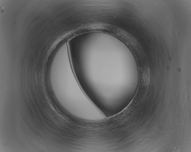 X0000081620732200701151054