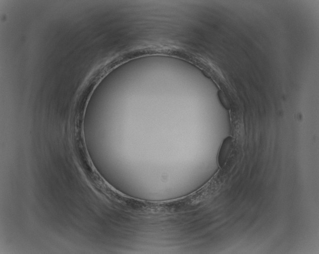 X0000081620736200701151054