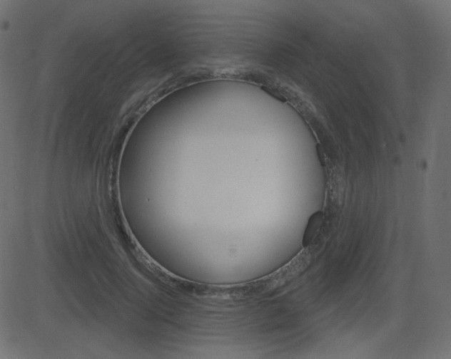 X0000081620740200701151054