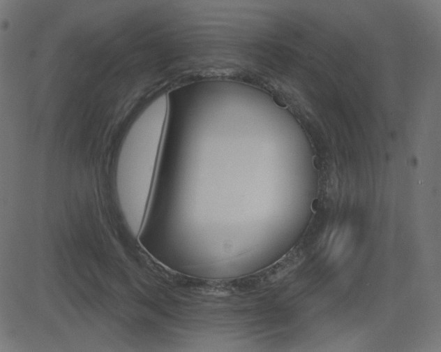 X0000081620743200701151054