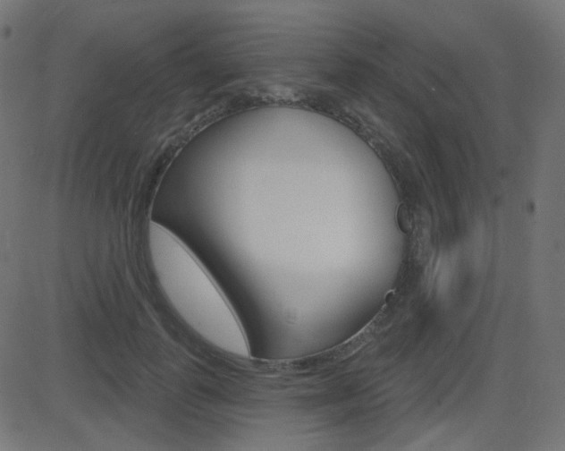 X0000081620747200701151054