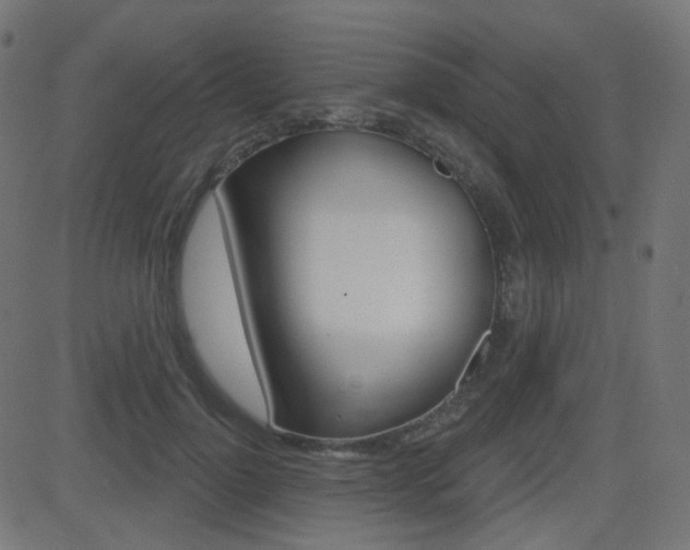 X0000081620748200701151054