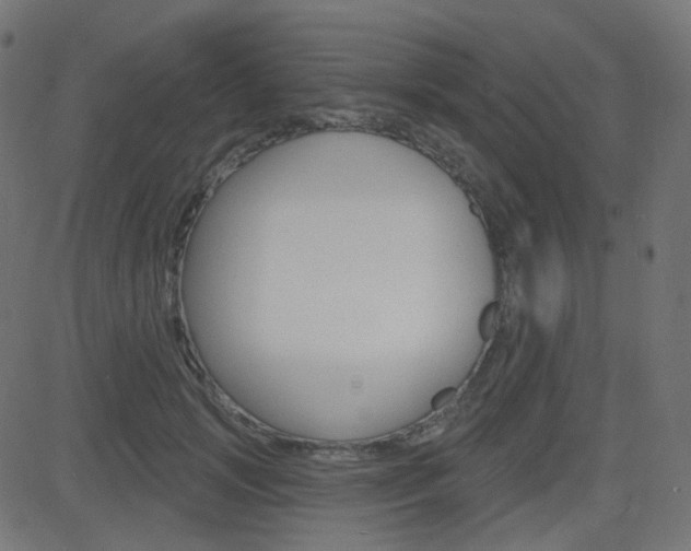 X0000081620749200701151054