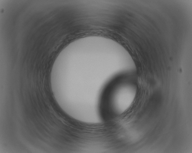 X0000081620750200701151054