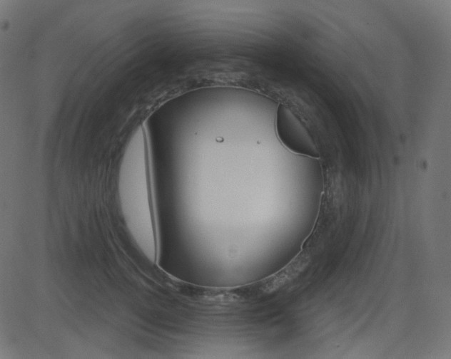 X0000081620752200701151054