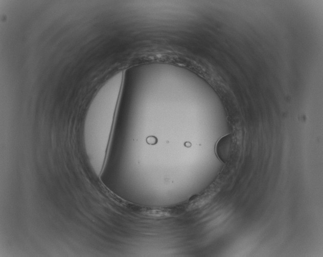 X0000081620754200701151054