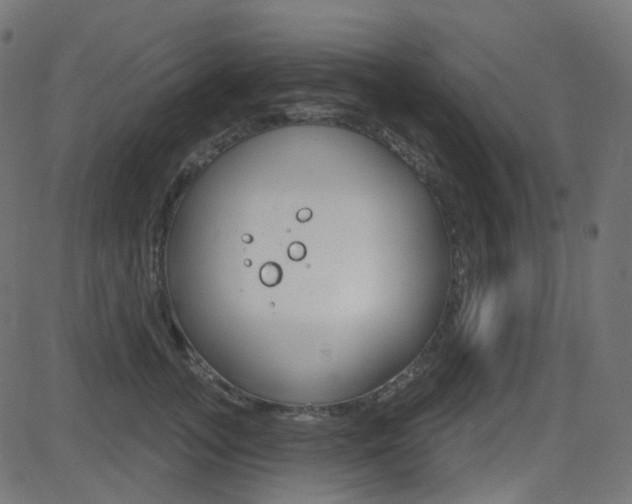 X0000081620755200701151054