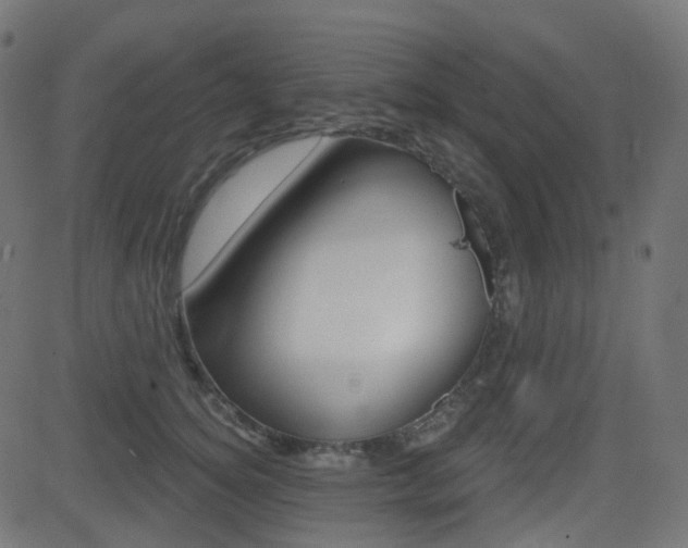 X0000081620756200701151054
