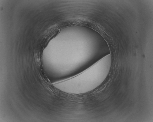 X0000081620771200701151054
