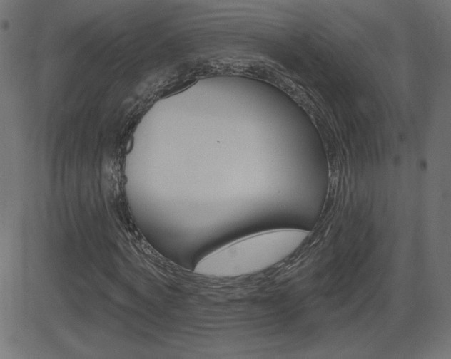 X0000081620772200701151054