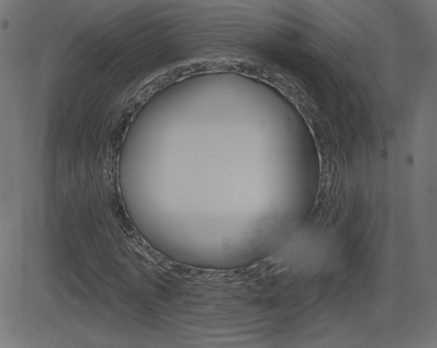 X0000081620773200701151054