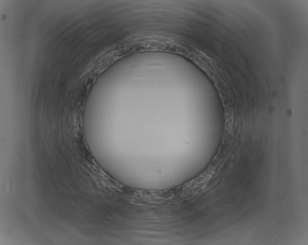 X0000081620774200701151054