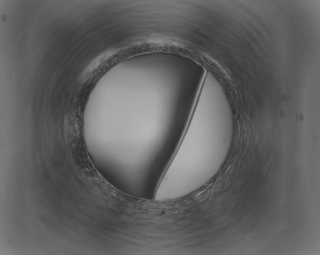 X0000081620776200701151054