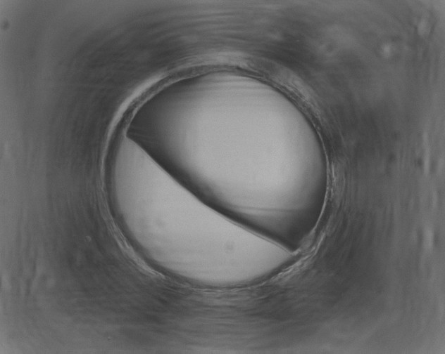 X0000081620780200701151054