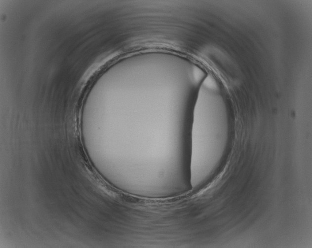 X0000081620782200701151053