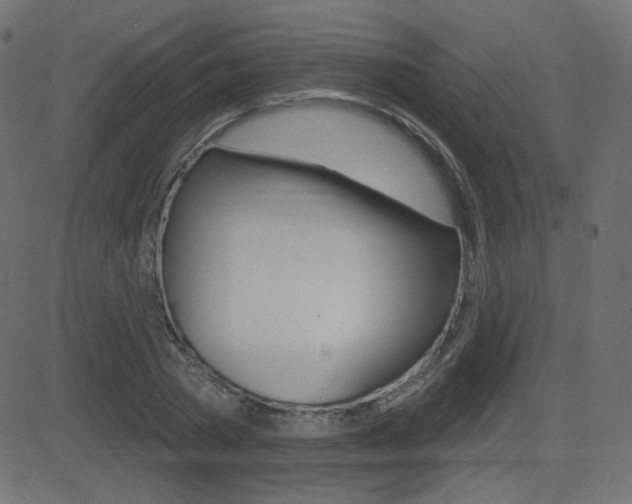 X0000081620785200701151053