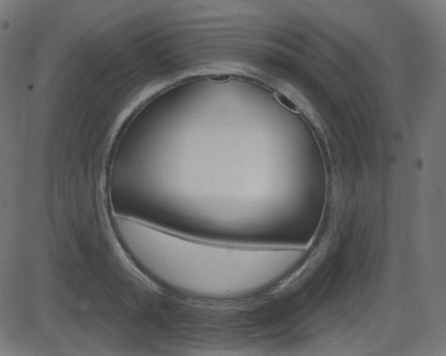 X0000081620797200701151053