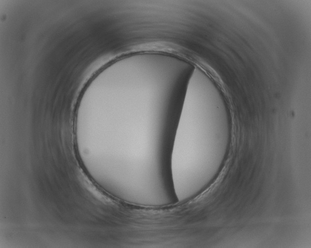X0000081620800200701151053