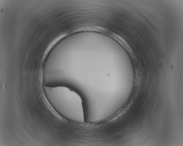 X0000081620804200701151053