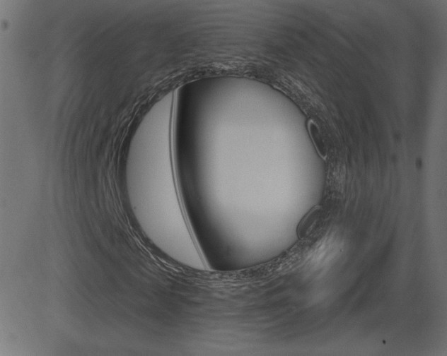 X0000081620817200701151052