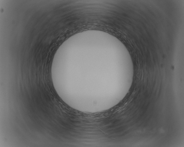 X0000081620818200701151052