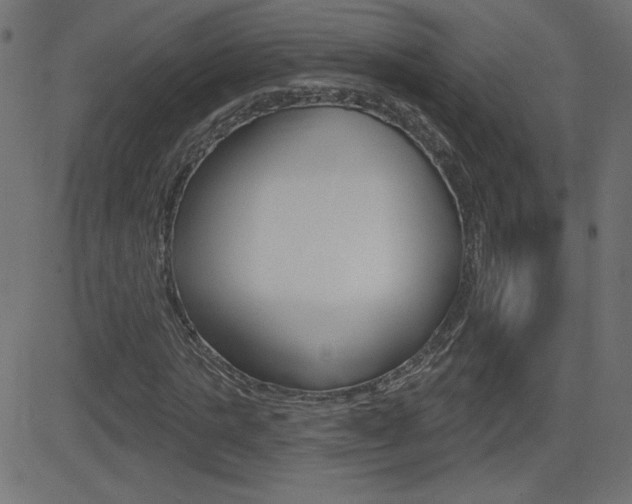 X0000081620821200701151052