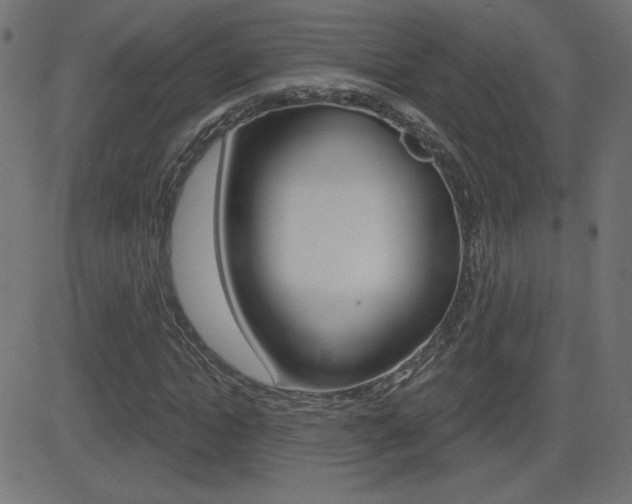 X0000081620822200701151052