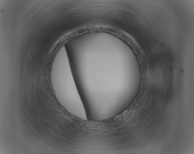 X0000081620823200701151052