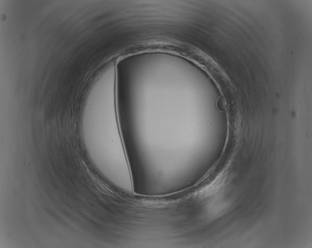 X0000081620825200701151052