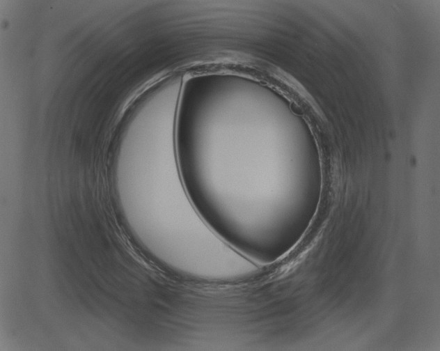 X0000081620826200701151052