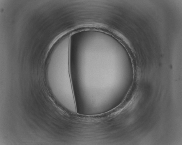 X0000081620829200701151052