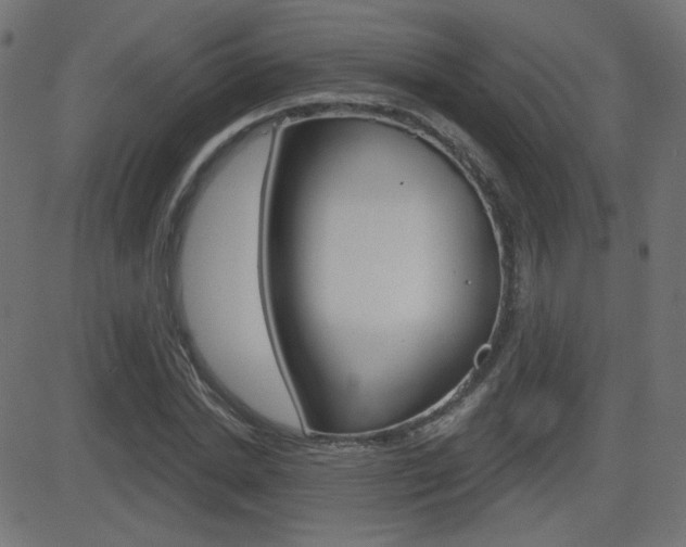 X0000081620830200701151052