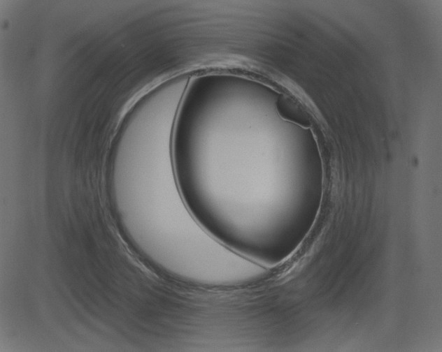 X0000081620834200701151052