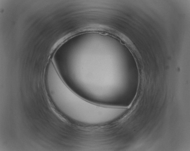 X0000081620842200701151053