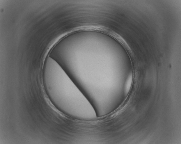 X0000081620844200701151053