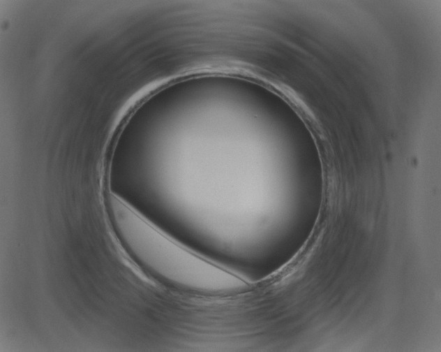 X0000081620846200701151053