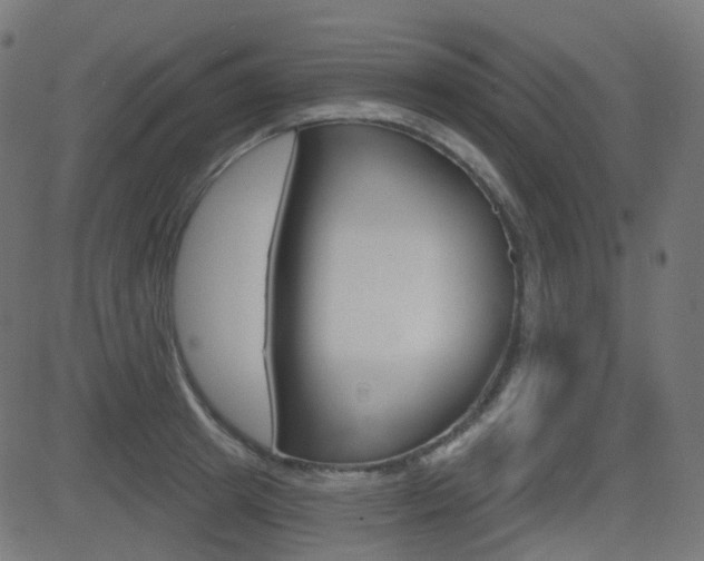 X0000081620849200701151053