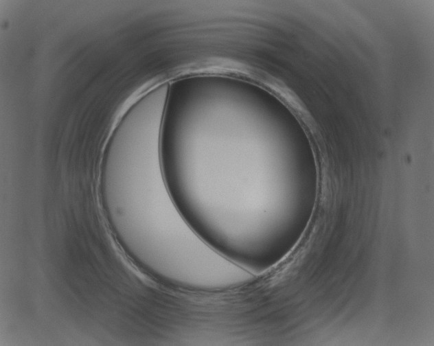 X0000081620850200701151053