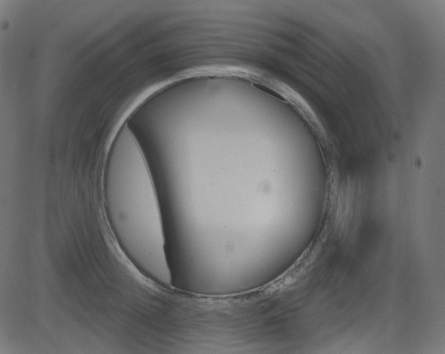 X0000081620852200701151053