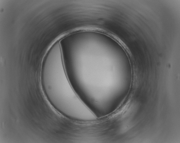 X0000081620853200701151053