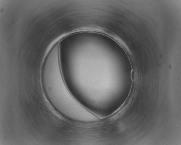 X0000081620854200701151053