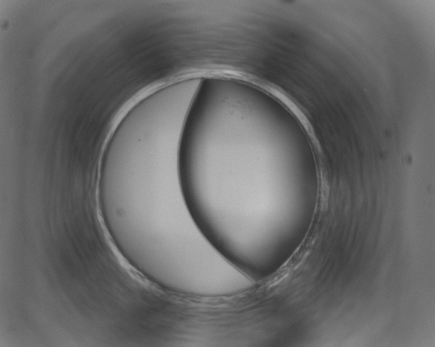 X0000081620861200701151053