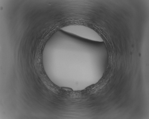 X0000081620865200701151052