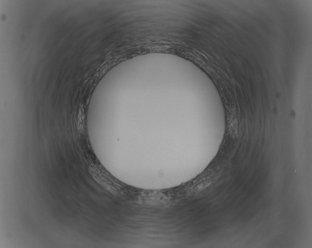X0000081620866200701151052