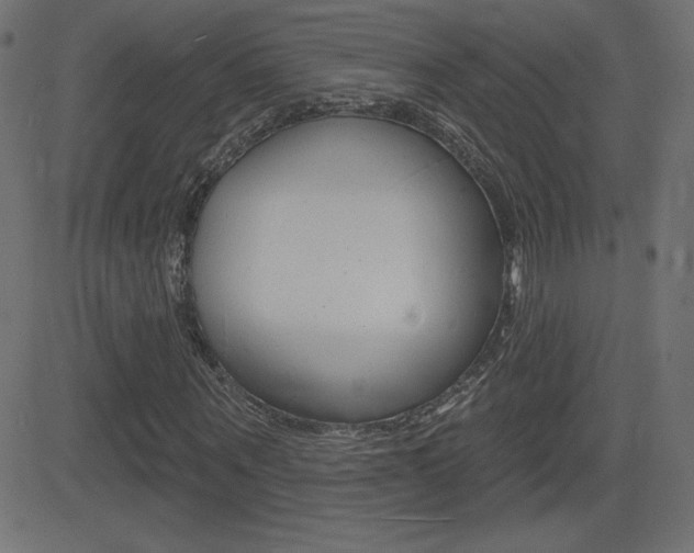 X0000081620867200701151052