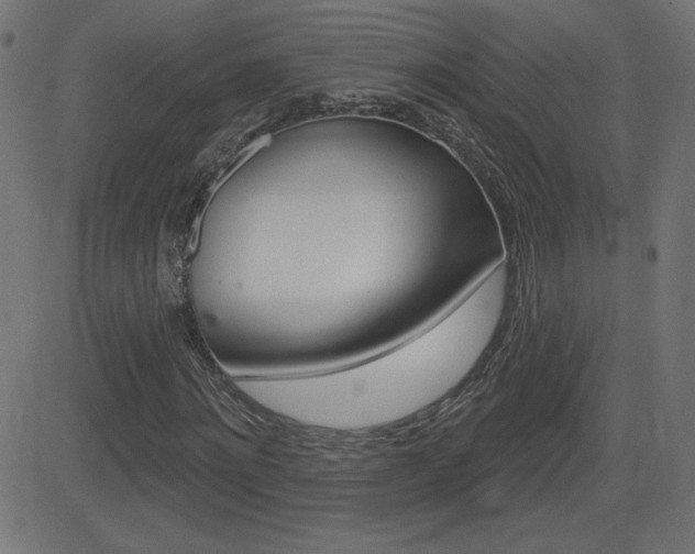 X0000081620868200701151052