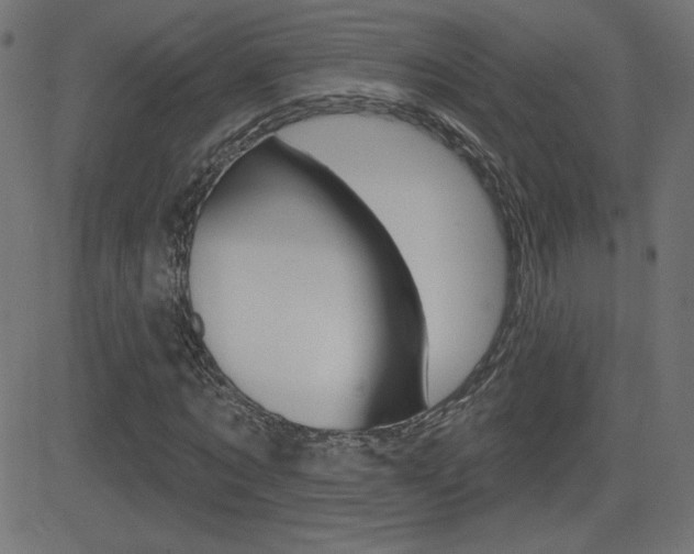 X0000081620869200701151052