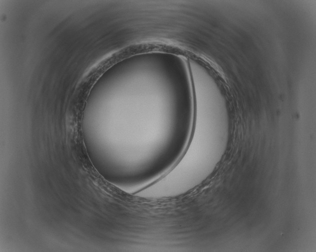 X0000081620872200701151052