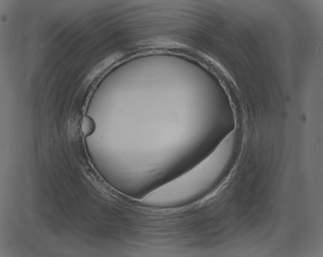 X0000081620873200701151052